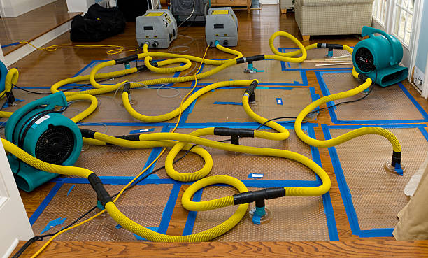 Professional Crawl Space Water Removal technician working in Barnesville, GA